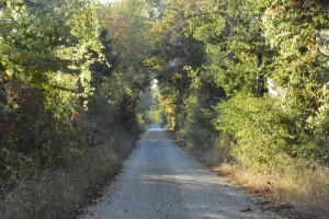 One of the gravel roads that hosts my daily walk.