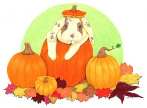 pumpkin-bunny